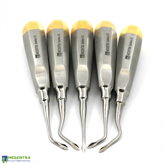 Dental Spade Elevators Concave Arrow Tips Root Extraction Surgery Kit